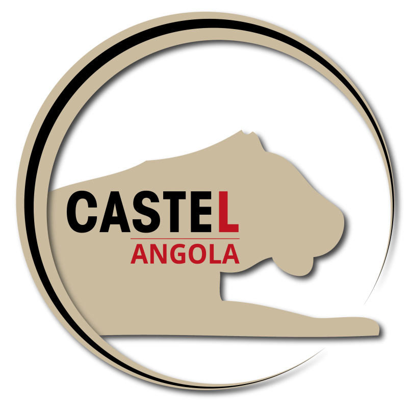 Logo Castel Angola